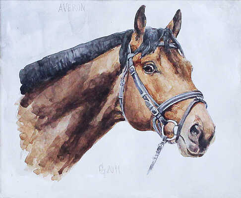 Постников Сергей Александрович. Аверон. Портрет лошади